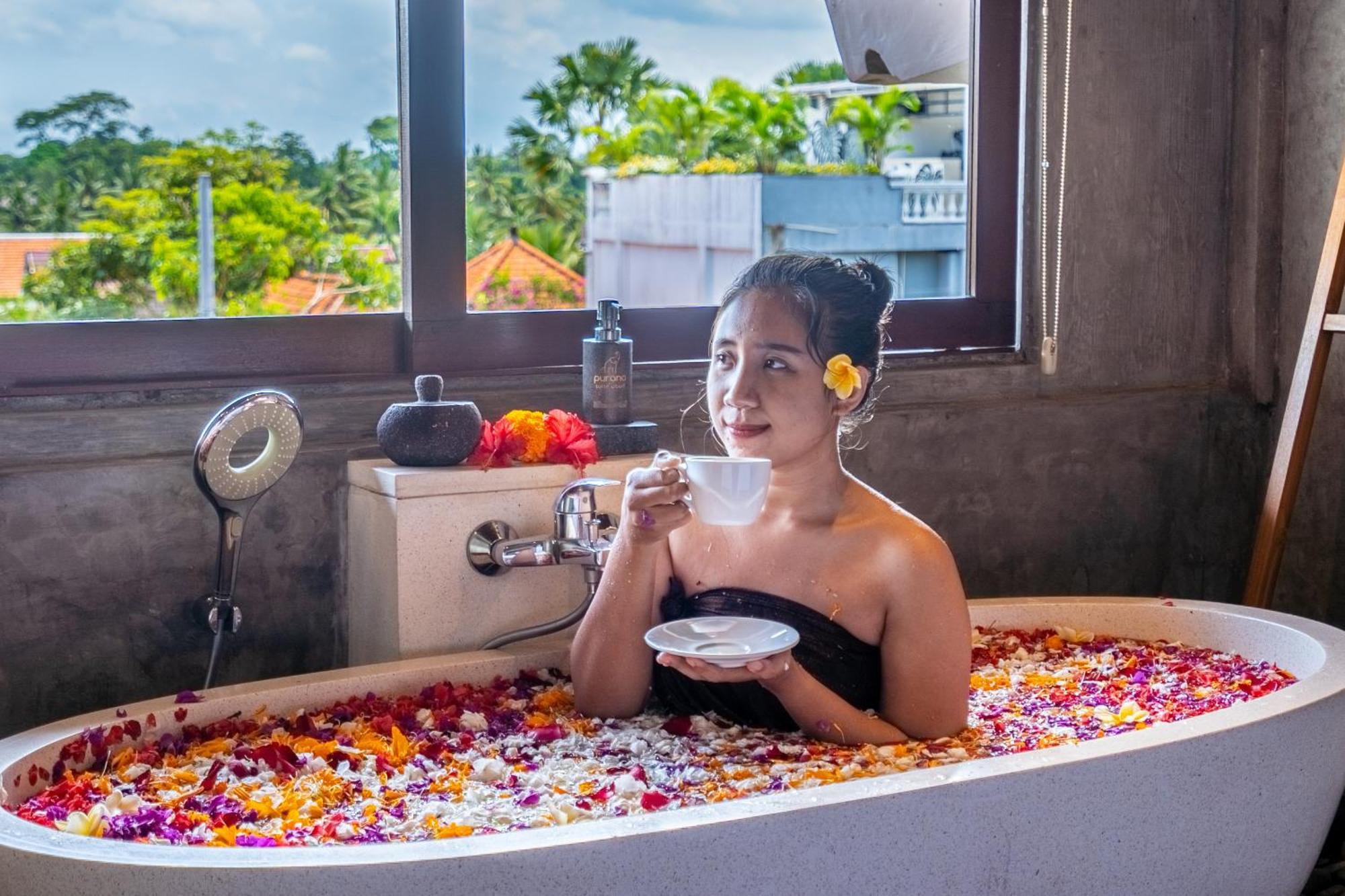 Hotel Purana 5*